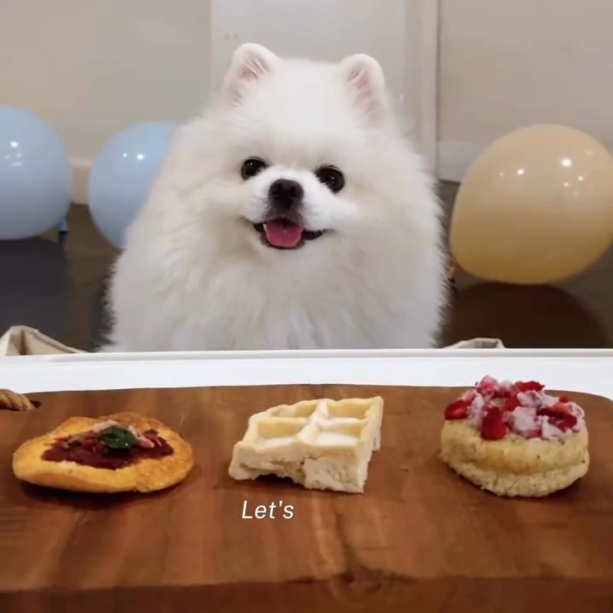 Happy Pup Meal - Treat Box - December